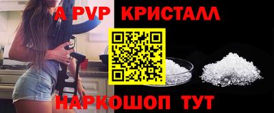 ECSTASY Обь