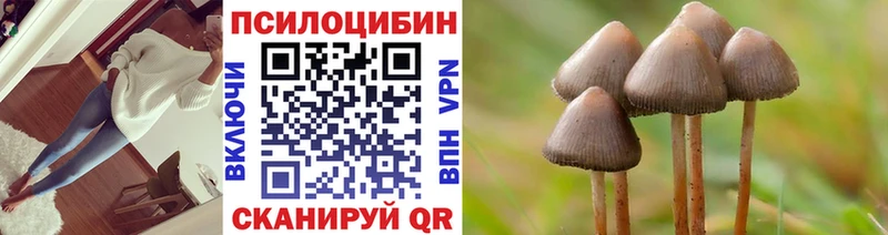 Псилоцибиновые грибы Magic Shrooms Тихвин