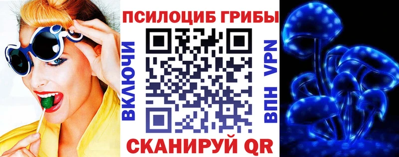Псилоцибиновые грибы GOLDEN TEACHER  где купить наркоту  Тихвин 