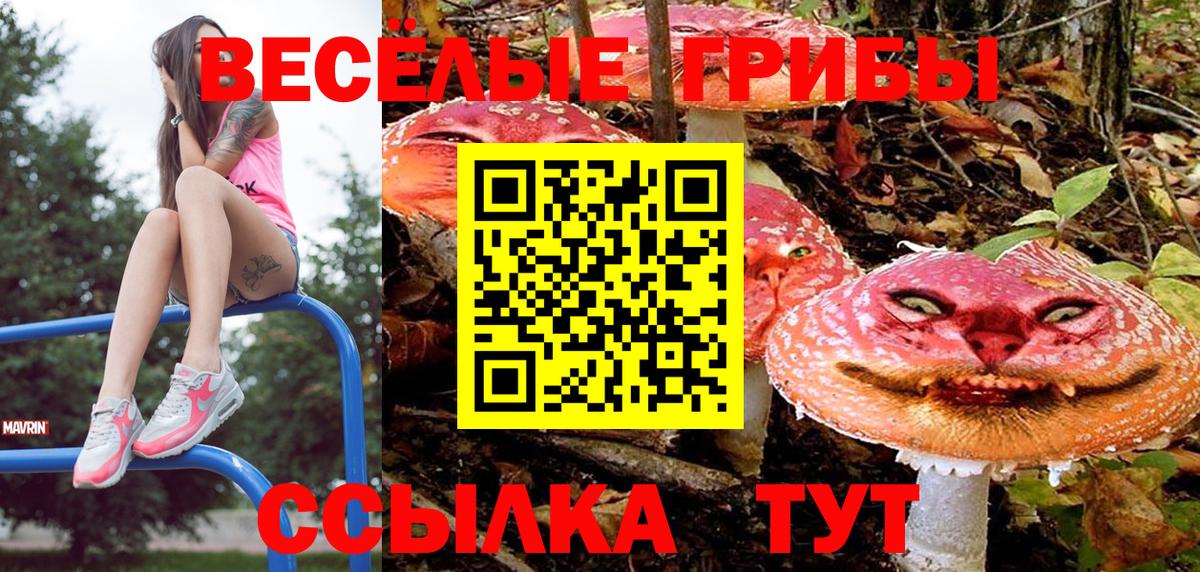 Конопля  Мефедрон  Вход с VPN  МДМА  ГАШИШ  A PVP СК   Тихвин  КОКАИН  МЕФ кристаллы 