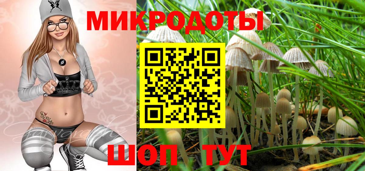 Псилоцибиновые грибы Psilocybine cubensis Тихвин