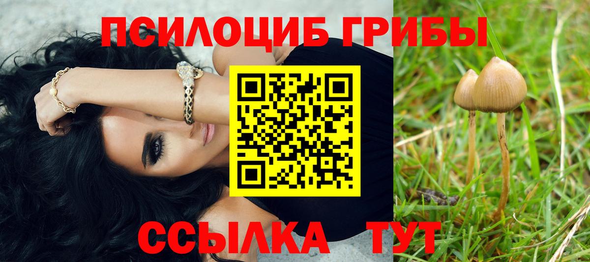 Галлюциногенные грибы Psilocybine cubensis  Вход с VPN  Тихвин 
