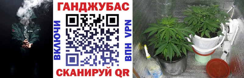 купить наркотик Тихвин Шишки марихуана VHQ